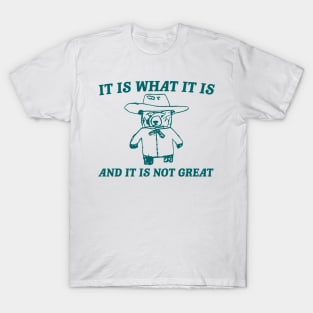 It Is What It Is And It Is Not Great , funny meme bear saying T-Shirt